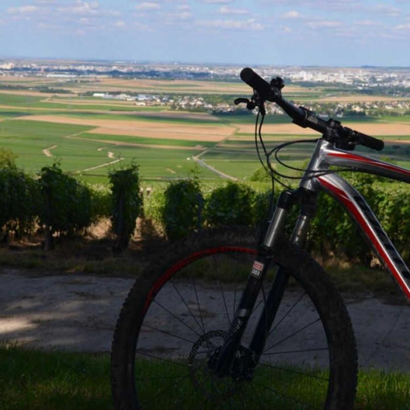 Gite Saint Martin Pargny-les-Reims Zewnętrze zdjęcie